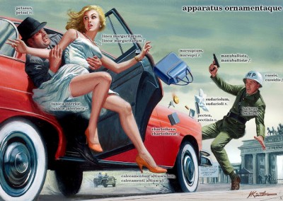 Apparatus et ornamenta
